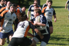 Condors Fall 2009