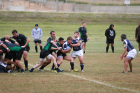 Eastside Fall 2011