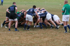 Eastside Fall 2011